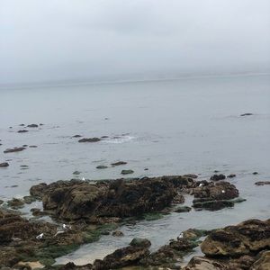 Meet your Posher, Abigail